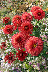 Similar image 21678183