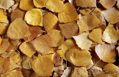 Similar image 21678187