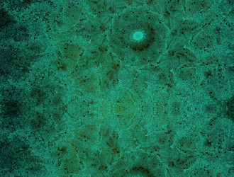 Similar image 21681548