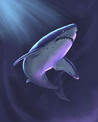 Similar image 21684499