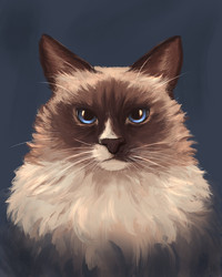 Similar image 21684507