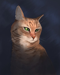 Similar image 21684754