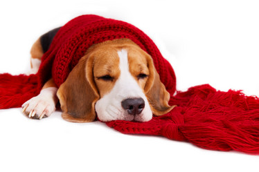 Similar image 21679669