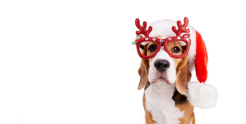 Similar image 21678323