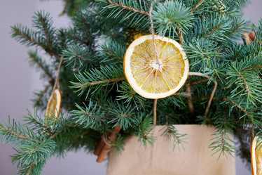 Similar image 21678324