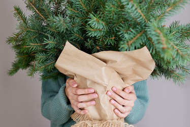 Similar image 21678325