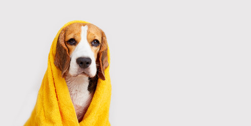 Similar image 21678723