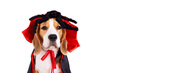 Similar image 21678328