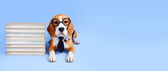 Similar image 21679673