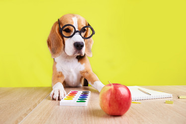 Similar image 21679674