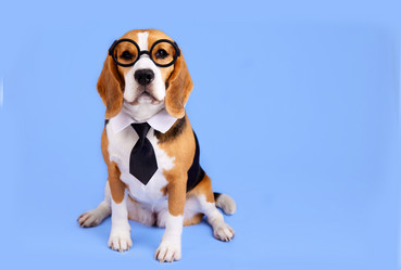 Similar image 21678728