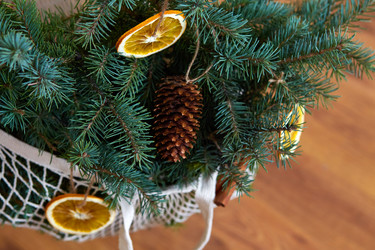 Similar image 21678594