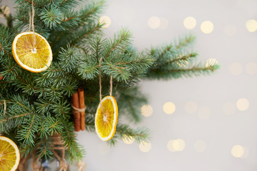 Similar image 21678595