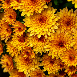 Similar image 21678731