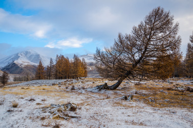 Similar image 21679729