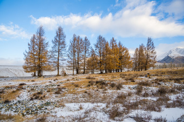 Similar image 21679731