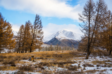 Similar image 21679732