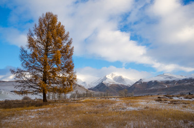 Similar image 21679733