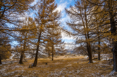 Similar image 21679734