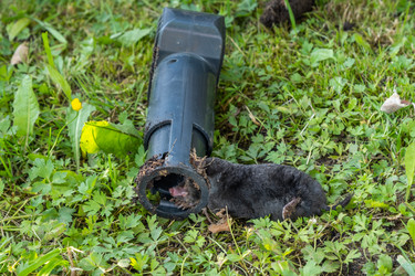 Similar image 21678598