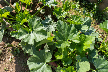 Similar image 21678599