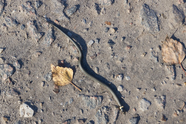 Similar image 21679550