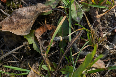 Similar image 21679552