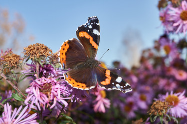 Similar image 21679553