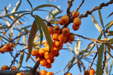 Similar image 21679557