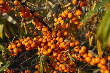 Similar image 21679558