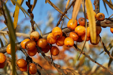 Similar image 21679559