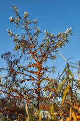 Similar image 21679560