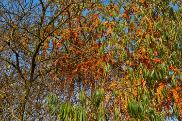 Similar image 21679561