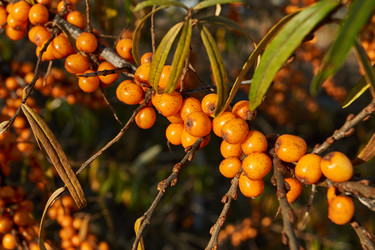 Similar image 21679563