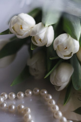 Similar image 21680424