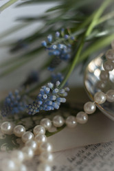 Similar image 21680427