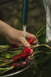 Similar image 21680434