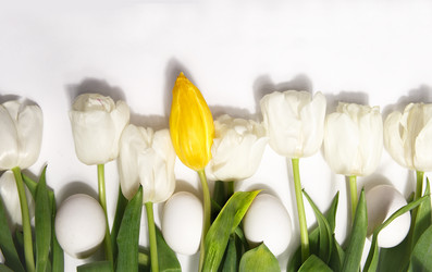 Similar image 21680435