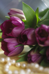 Similar image 21680439