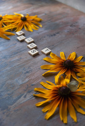 Similar image 21680450