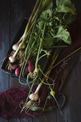 Similar image 21680243