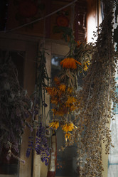 Similar image 21680247