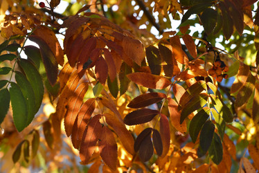 Similar image 21678760