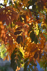 Similar image 21678765