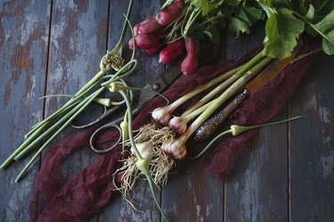 Similar image 21680249