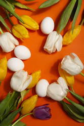 Similar image 21680252