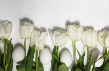 Similar image 21680260