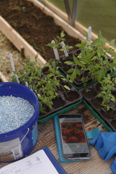 Similar image 21680262