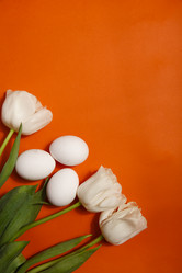 Similar image 21680332