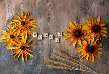 Similar image 21680334